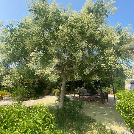 Casa Lusentum Villa Torrevieja Eksteriør bilde