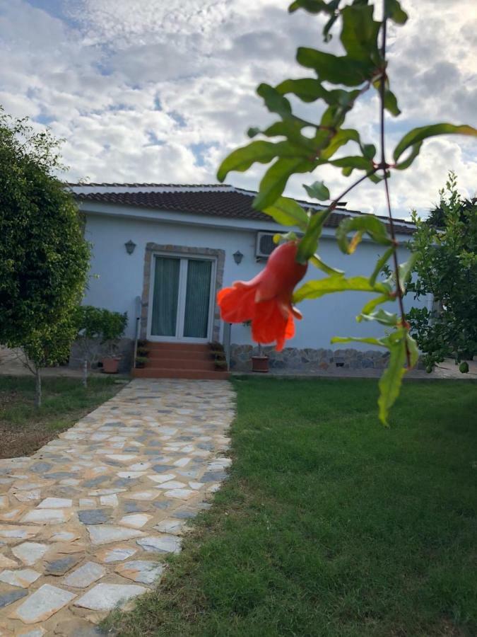 Casa Lusentum Villa Torrevieja Eksteriør bilde